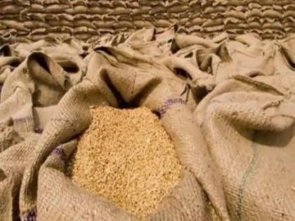 india bans exports of wheat government notification issued | India Bans Exports of Wheat : गव्हाच्या वाढत्या किमतीमुळे सरकारचा मोठा निर्णय, निर्यातीवर घातली सशर्त बंदी