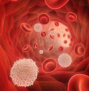 पांढऱ्या पेशी कमी कशाने होतात आणि कमी झाल्याच तर जीवावर बेततं का? पाहा पांढऱ्यापेशींचं माहित नसलेलं सत्य