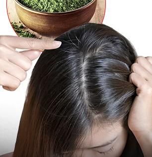 पांढरा झालेला एक-एक केस होईल पुन्हा काळा, करा 'हा' आयुर्वेदिक उपाय मग बघा कमाल