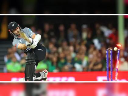 Shaheen Shah Afridi clean bowled Kane Williamson T20 World Cup 2022 Semi Final PAK vs NZ Suryakumar Yadav | Kane Williamson, PAK vs NZ Video: सूर्यकुमार बनायला गेला अन् विल्यमसन क्लीन बोल्ड झाला...