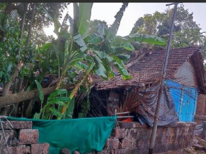 Rain with storm like winds in Ratnagiri, hit the coast | रत्नागिरीत वादळसदृश वाऱ्यासह पाऊस, किनारपट्टीवर फटका; पडझडीमुळे मोठे नुकसान Rain with storm like winds in Ratnagiri, hit the coast | रत्नागिरीत वादळसदृश वाऱ्यासह पाऊस, किनारपट्टीवर फटका; पडझडीमुळे मोठे नुकसान