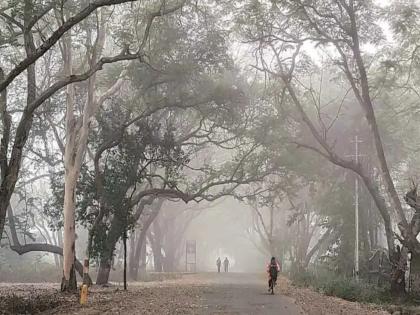 राज्यात थंडीचा कडाका वाढला! अहिल्यानगरमध्ये ७. ४ सर्वाधिक नीचांकी तापमानाची नोंद राज्यात थंडीचा कडाका वाढला! अहिल्यानगरमध्ये ७. ४ सर्वाधिक नीचांकी तापमानाची नोंद