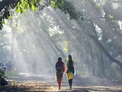 In Nagpur even in broad daylight; The mercury is falling even more. | नागपुरात भरऊन्हातही हुडहुडी; पारा अधिक तरी झाेंबतोय गारठा!