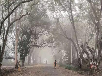 maharashtra winter in nashik at 13 degrees increase in cold in Pune too | Maharashtra Winter: राज्यात हुडहुडी! नाशिकला पारा १३ अंशावर, पुण्यातही थंडीमध्ये वाढ