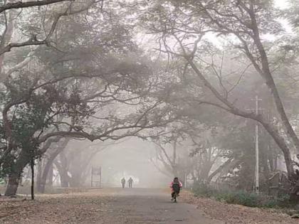 Pune is the 'coldest', @11 | राज्यातील सर्वात कमी तापमान; पुणे @ ११ डिग्री