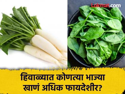 Vegetables you must include in your winter diet | हिवाळ्यात आवर्जून खाव्यात 'या' पौष्टिक भाज्या, अनेक आजारांचा टळेल धोका अन् शरीर राहील फीट!