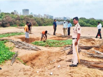 Encroachment on Versova beach for fenugreek cultivation | मेथीच्या शेतीच्या निमित्ताने वर्सोवा किनाऱ्यावर अतिक्रमण; चौघांविरोधात गुन्हा दाखल