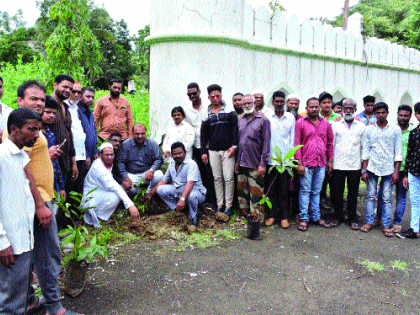 Wakf Board to plant nine thousand trees in the district - | वक्फ बोर्डाकडून जिल्ह्यात नऊ हजार वृक्षांचे रोपण--खुसरो खान