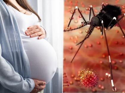 Zika virus is not likely to cause seizures in all babies Gynecologist information | Zika Virus: झिकामुळे सर्वच बाळांमध्ये धाेका हाेण्याची शक्यता नाही; स्त्रीराेगतज्ज्ञांची माहिती