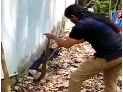 kerala woman rescue snake video goes viral on internet | Viral Video: बाबो! या महिलेनं सापाला वाचवण्यासाठी जे केलं ते पाहुन अंगावर येईल काटा