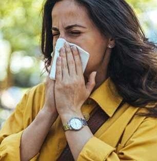 धुळीचा त्रास होतो? सारख्या शिंका येतात आणि नाक बंद होते? करा सोपे आणि साधे घरगुती उपाय