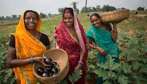 Women's Farmer's Day celebrated in Risod | रिसोड येथे महिला किसान दिवस उत्साहात