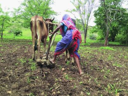 Indian women farmers will also go abroad to learn modern agriculture | आता महिला शेतकरीही विदेशात जाऊन शिकणार आधुनिक शेती