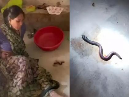 I gave birth to three baby snakes; Woman's claim creates stir, crowd gathers as soon as she finds out... | मी सापाच्या तीन पिल्लांना जन्म दिला; महिलेच्या दाव्याने खळबळ, समजताच गर्दी जमू लागली...