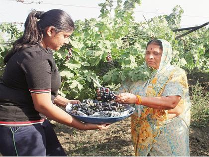 Women's Day Special: 'Krishi Bhushan' was done for the wages of women! : Shababy Dattatre More | Women's Day Special : बाईंच्या कष्टाला ‘कृषिभूषण’ लगडलं ! : छायाबाई दत्तात्रय मोरे