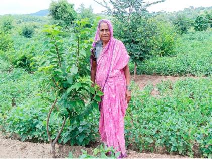 Women s Day Special grandmother bloomed sitafal and chinchban in lockdown know details | Women's Day Special : आजीबाईंनी लॉकडाउनमध्ये फुलवले सीताफळ अन्‌ चिंचबन