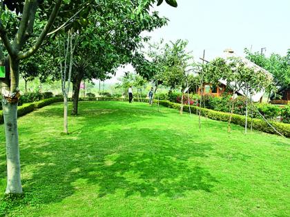 Mahometro's 'Little Wood' in Nagpur is the epicenter of all attractions, including wildlife | नागपुरातील महामेट्रोचे 'लिटिल वूड' वन्य प्राण्यांसह सगळ्यांचे आकर्षणाचे केंद्र