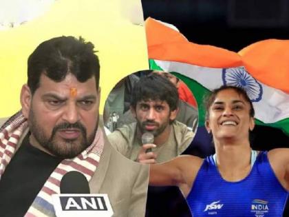  Wrestlers protesting in Delhi have approached the Supreme Court and demanded an FIR against WFI President Brijbhushan Singh, including 7 wrestlers including Bajrang Punia, Sakshi Malik and Vinesh Phogat  | आंदोलक पैलवानांची सुप्रीम कोर्टात धाव; ब्रिजभूषण सिंह यांच्याविरूद्ध FIR दाखल करण्याची मागणी