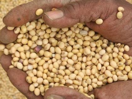 Soybean arrivals increased; Falling rates! | सोयाबीनची आवक वाढली; दरात घसरण!