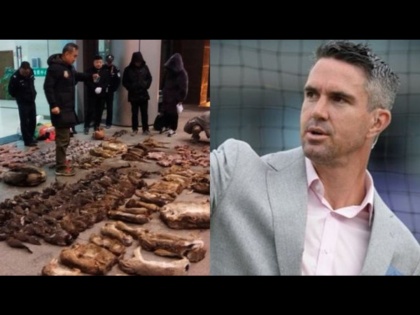 Kevin Pietersen criticizes Wuhan's wet animal market for the spread of Coronavirus svg | चिनी लोकांवर भडकला इंग्लंडचा क्रिकेटपटू; हासडली F#@#@G सणसणीत शिवी