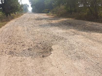 potholes become reason to accident on haranghat chamorshi road | हरणघाट रस्त्यावर खड्ड्याचे साम्राज्य, वाहनधारक त्रस्त; अपघाताला आमंत्रण