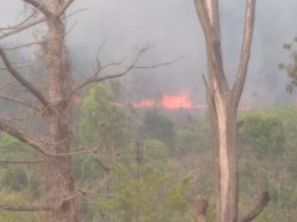 Mountain fire in buffer zone of Sahyadri Tiger Reserve | सह्याद्री व्याघ्र प्रकल्पाच्या बफर झोनमध्ये डोंगरास आग 