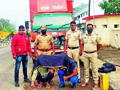 Illegal cattle transport container seized and two arrested near deolapar | गुरांच्या अवैध वाहतुकीचा कंटेनर पकडला, दोन अटकेत, लाखोंचा मुद्देमाल जप्त