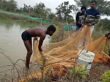 a young farmer and teacher sets an example by doing fish farming | बेरोजगारीवर मात, युवा शेतकऱ्याने फुलवली मत्स्य शेती; वर्षाला पाच लाखांचे उत्पन्न!