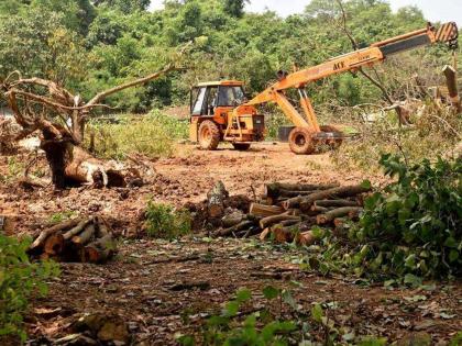 Aarey forest Saved; Planting trees instead of Metro carshed; Uddhav thackrey decision | आरे वाचले! कारशेडऐवजी झाडे लावणार; उद्धव ठाकरे सरकारचा निर्णय