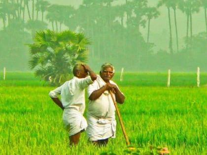 The politics of agriculture too | संपादकीय: शेतीचेही राजकारण