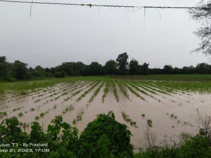 Heavy rains in circles of Amravati; Highest rainfall in Varud taluka | मंडळात अतिवृष्टी, शेताचे तलाव; वरुड तालुक्यात सर्वाधिक पाऊस