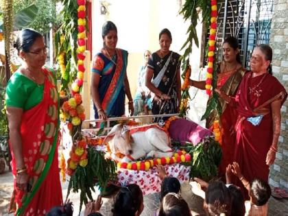 family in the village celebrated naming ceremony of a calf | अन् साजरा केला कालवडीचा नामकरण सोहळा