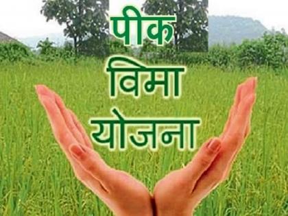 Relief to farmers... Crop insurance extended till August 3 | शेतकऱ्यांना दिलासा... पीक विम्याला ३ ऑगस्टपर्यंत मुदतवाढ