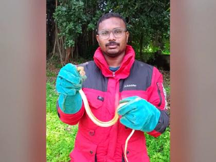 Snake found in ITI, fear of students increased | आयटीआयमध्ये आढळला साप, विद्यार्थ्यांची वाढली धाकधूक