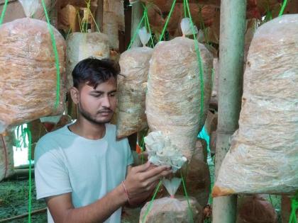 ajmer kota 24 years yashraj is earning big amount from mushroom made in laboratory | मशरूममुळे 24 वर्षीय तरुण झाला मालामाल; घरीच बनवली लॅब; वर्षाला करतो लाखोंची कमाई