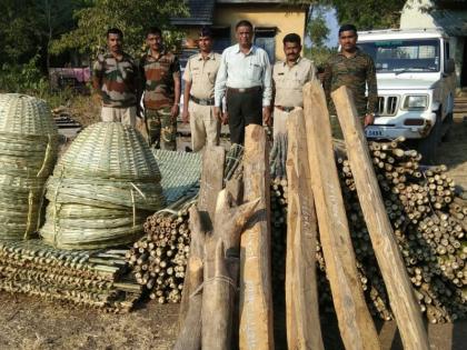 Illegal wood seized at Waghjira in Yaval taluka | यावल तालुक्यातील वाघझिरा येथे अवैध लाकूड जप्त