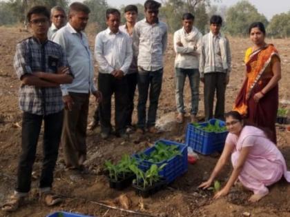 The girl's birthday was celebrated by planting of banana plant at Sakli in Yaval taluka | यावल तालुक्यातील साकळी येथे केळी बाग लागवड करून साजरा केला मुलीचा वाढदिवस