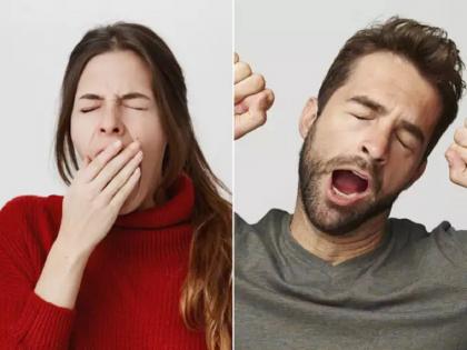 The secret of the yawn that comes from time to time know whats science behind that | वेळी-अवेळी येणाऱ्या जांभईचं रहस्य काय?; जाणून घ्या झोपेशी संबंध असलेल्या जांभईबद्दल रंजक गोष्टी