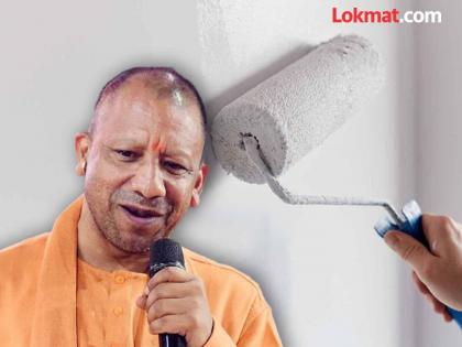 CM Yogi Adityanath orders government offices to be painted with paint made from cow dung | गायीच्या शेणापासून बनवलेल्या रंगानेच सरकारी कार्यालये रंगवा; CM योगी आदित्यनाथ यांचे आदेश CM Yogi Adityanath orders government offices to be painted with paint made from cow dung | गायीच्या शेणापासून बनवलेल्या रंगानेच सरकारी कार्यालये रंगवा; CM योगी आदित्यनाथ यांचे आदेश