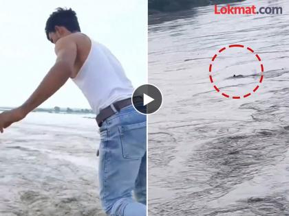 A young man jumped into a river for Rs 500 and drowned, the video of this incident has gone viral | Video: पैज लागली, 500 रुपयांसाठी तरुणाची यमुनेच्या पुरात उडी; नंतर बघा काय घडलं? A young man jumped into a river for Rs 500 and drowned, the video of this incident has gone viral | Video: पैज लागली, 500 रुपयांसाठी तरुणाची यमुनेच्या पुरात उडी; नंतर बघा काय घडलं?