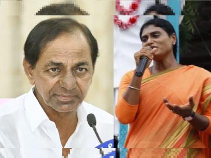 "Telangana India's Afghanistan and KCR is Taliban": YS Sharmila's Controversial Criticism | "तेलंगाणा भारताचे अफगाणिस्तान आणि KCR तालिबान" : YS शर्मिला यांची वादग्रस्त टीका