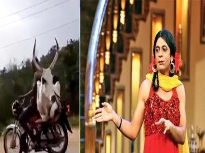 Man who takes ox on his bike video viral on internet shared by Sunil grover | काय सांगता! थेट बैलाला डबलसीट घेऊन प्रवासाला निघाला 'हा' पठ्ठ्या; पाहा व्हायरल व्हिडीओ