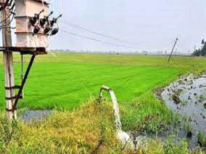 ramtek farmer struggling since 5 years for electricity connection for agricultural pump even after paying demand bill for two times | दाेनदा डिमांड भरूनही मिळेना कृषी पंपासाठी वीज कनेक्शन, शेतकऱ्याच्या ५ वर्षापासून हेलपाट्या