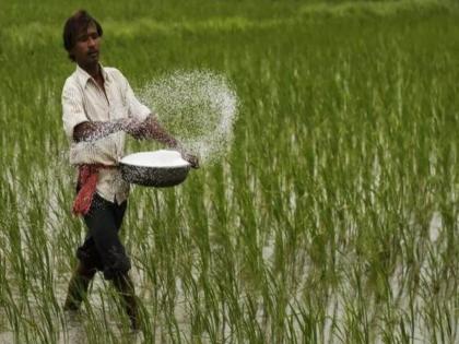 pune news Farmers in Indapur taluka are in a state of panic due to shortage of urea; Action ordered against agricultural centers | इंदापूर तालुक्यात युरिया तुटवड्याने शेतकरी हैराण; कृषी केंद्रांवर कारवाईचे आदेश