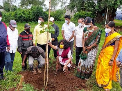 Planting of 448 native trees in Lingnur through public participation | लिंगनूरमध्ये लोकसहभागातून ४४८ देशी वृक्षांची लागवड