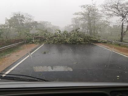 Sadak Arjuni, Goregaon taluka witnessed inclement weather with gale force winds | गोंदिया जिल्ह्यातील सडक अर्जुनी, गोरेगाव तालुक्यात वादळी वाऱ्यासह अवकाळीची हजेरी