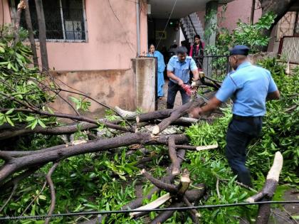 Pune Rain: Rain wreaks havoc in the city; Strong winds cause tree fall in 15 places | Pune Rain: पावसामुळे शहरात दाणादाण उडाली; सुसाट वाऱ्याने १५ ठिकाणी झाडपडीच्या घटना Pune Rain: Rain wreaks havoc in the city; Strong winds cause tree fall in 15 places | Pune Rain: पावसामुळे शहरात दाणादाण उडाली; सुसाट वाऱ्याने १५ ठिकाणी झाडपडीच्या घटना