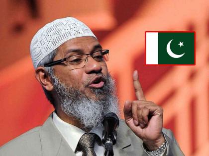 Zakir Naik Wanted Criminal in India and now invited and reached in Pakistan for speeches | भारतात WANTED असलेला झाकीर नाईक पाकिस्तानात पोहोचला; 'या' मोठ्या शहरात घेणार सभा