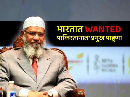 Fugitive Islamic speaker wanted in India Zakir Naik has been invited as 'guest' in Pakistan | भारतात WANTED असलेला फरार इस्लामिक धर्मगुरू झाकिर नाईक पाकिस्तानात 'पाहुणा'