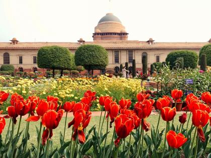 Mughal Garden Name Change: Mughal Garden in Rashtrapati Bhavan has been renamed as Amrit Udyan; Will be open from 31st January... | Mughal Garden Name Change: राष्ट्रपती भवनातील मुघल गार्डनचे नाव बदलले; 31 जानेवारीपासून खुले होणार...